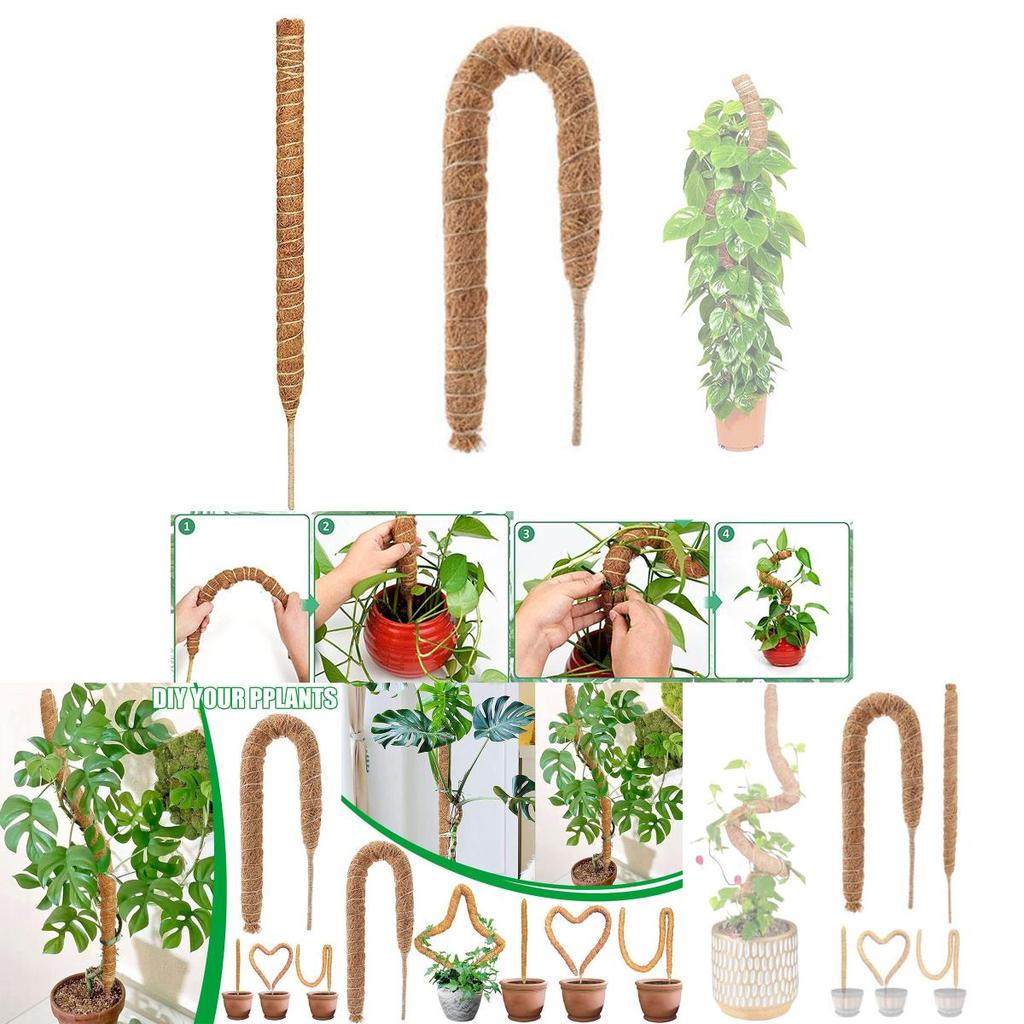 Premium Quality Coconut Shell Plant Climbing Pole 60-120cm Length