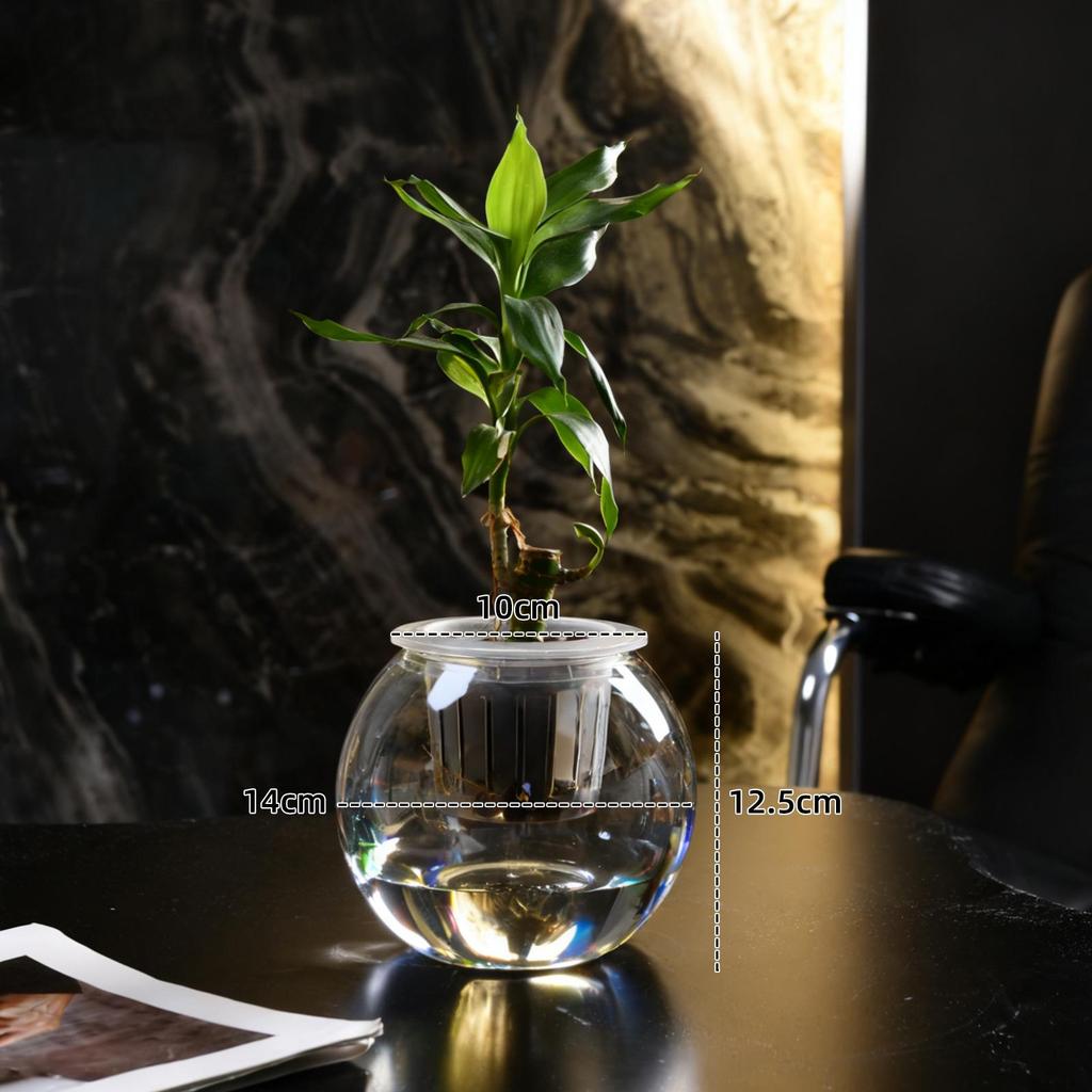 Small Hydroponic Vase for Phalaenopsis & Succulents - Desktop Decoration