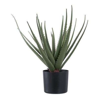 Aloe Vera Wood Art Height 51cm Green.