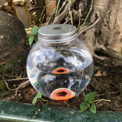 1/2/3Pcs Automatic Water Seepage Device Self-Watering Planter Insert with Round Ball Design Soil Moisture Regulator Transparent Plant Waterer