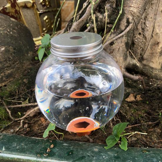 1/2/3 Bucăți Dispozitiv Automat de Seepage a Apei Plantator cu Auto-Udare Insert cu Design Rotund cu Bilă Regulator de Umiditate a Solului Udător Transparent pentru Plante