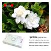 Large Capacity Car Air Freshener Perfume & Deodorizer - Hotel Solid Aromatherapy Fragrance