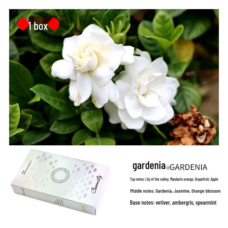 Large Capacity Car Air Freshener Perfume & Deodorizer - Hotel Solid Aromatherapy Fragrance