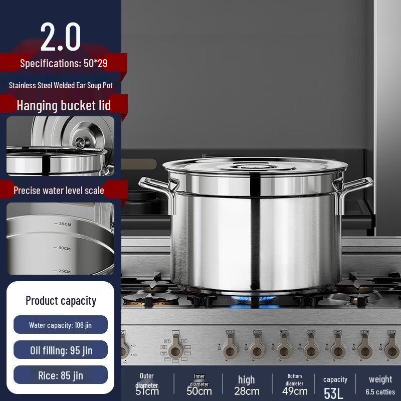 Heavy-Duty Stainless Steel Multi-Purpose Pot with Lid