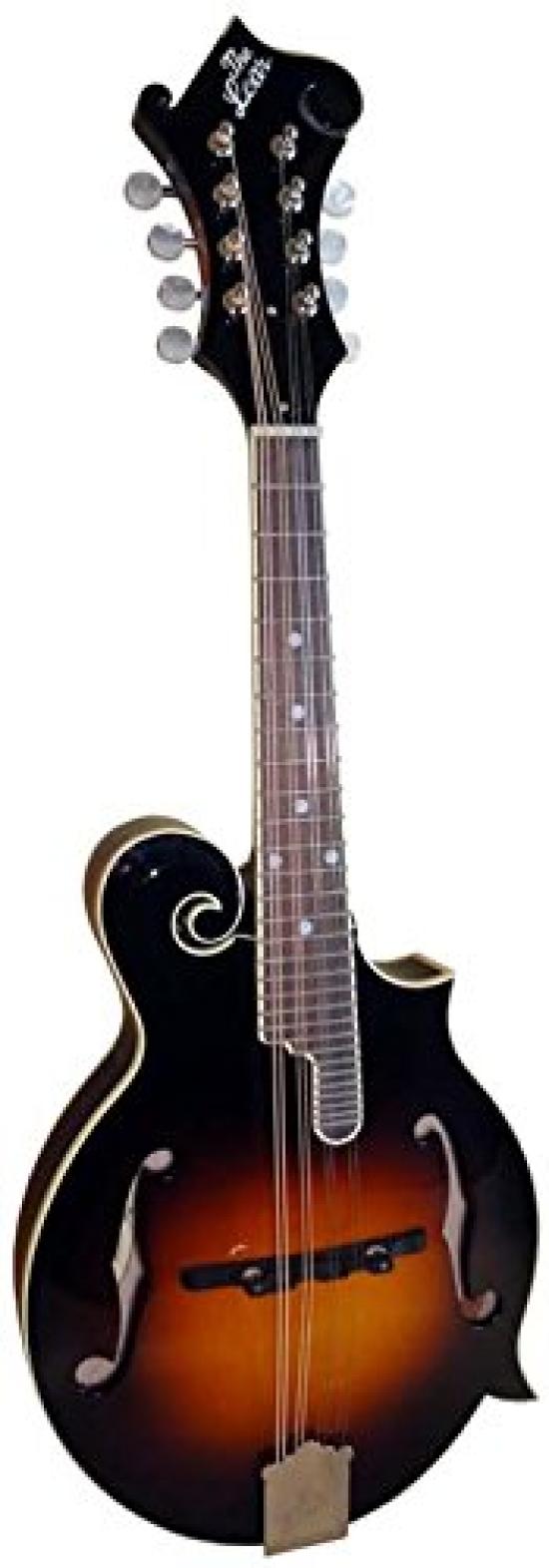 

Loar F Model Mandolin Vintage Sunburst LM-520-VS