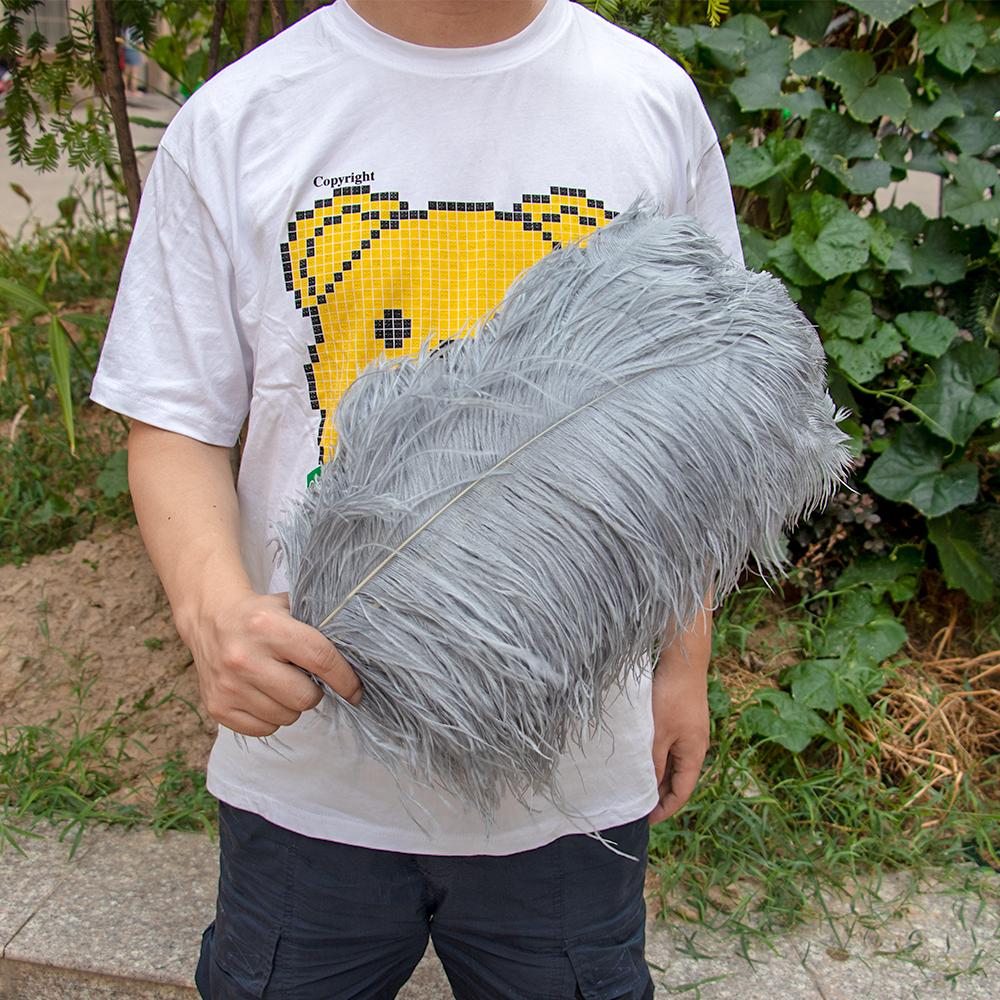 10 buc Pene Naturale de Struț Vrac 15-50cm Pană pentru Meșteșuguri pentru Petrecere Nuntă Decor Acasă Centrul Mesei Decorare Bijuterii