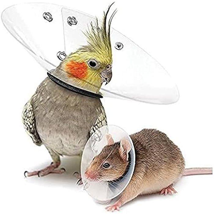 Collier - KVP - Saftshield - Léger - Rembourrage double - Acier inoxydable