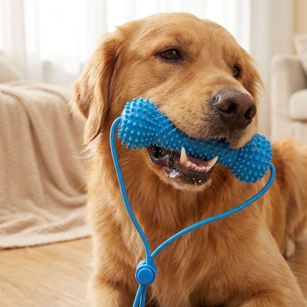 Anti-choking Dog Teething Stick Bite-Resistant Interactive Dog Toy Dog Chew Stick Teeth Cleaning