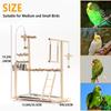 Bird Playground Parrot Playstand Bird Perch Stand Gym Natural Wood Play Stand with Swing Ladder Feeder Cups for Parakeets Cockat