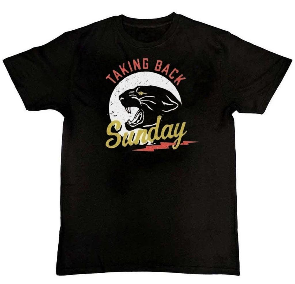 Vintage T-shirt for Fan Taking Back Sunday Mens Unisex T-Shirt