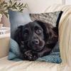1pc Pillowcase, Rococo Style Sprocket Spanish Hound Print Pillowcase, Machine Washable, Zipper Closure, Soft And Smooth Touch Polyester Short Pile Fab