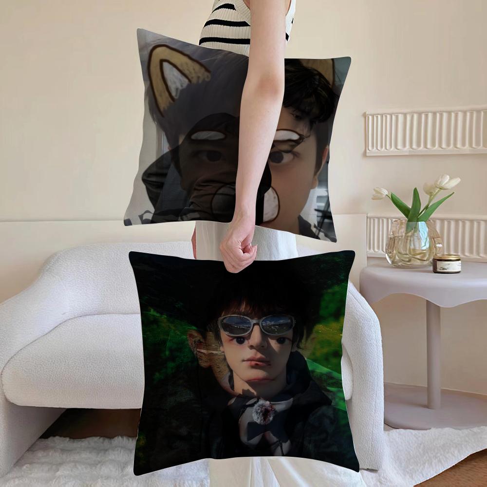 LinYi Chinese Actor Cushion Cover Anti-dustmite Pillowcase Invisible Zipper Silky Short Plush Sofa Cushion Cover