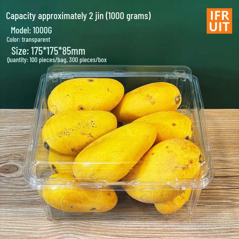 Shixun Disposable Square Plastic Fruit Containers