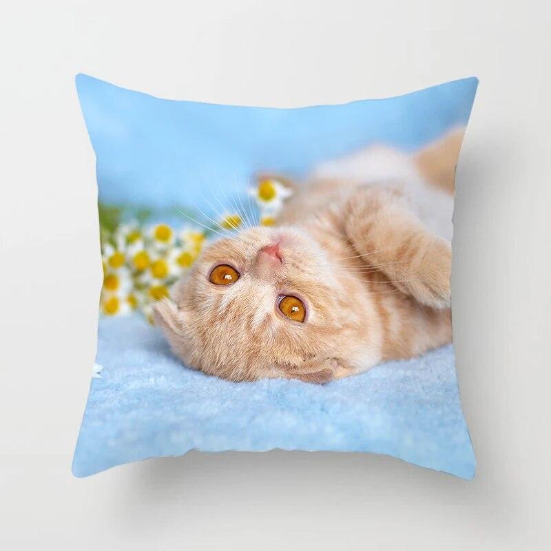 Home Decor Witchcraft Cat Stealing  Cushion Cover Cute  Sofa Car Decoration 45x45cm Pillowcase Square Polyester