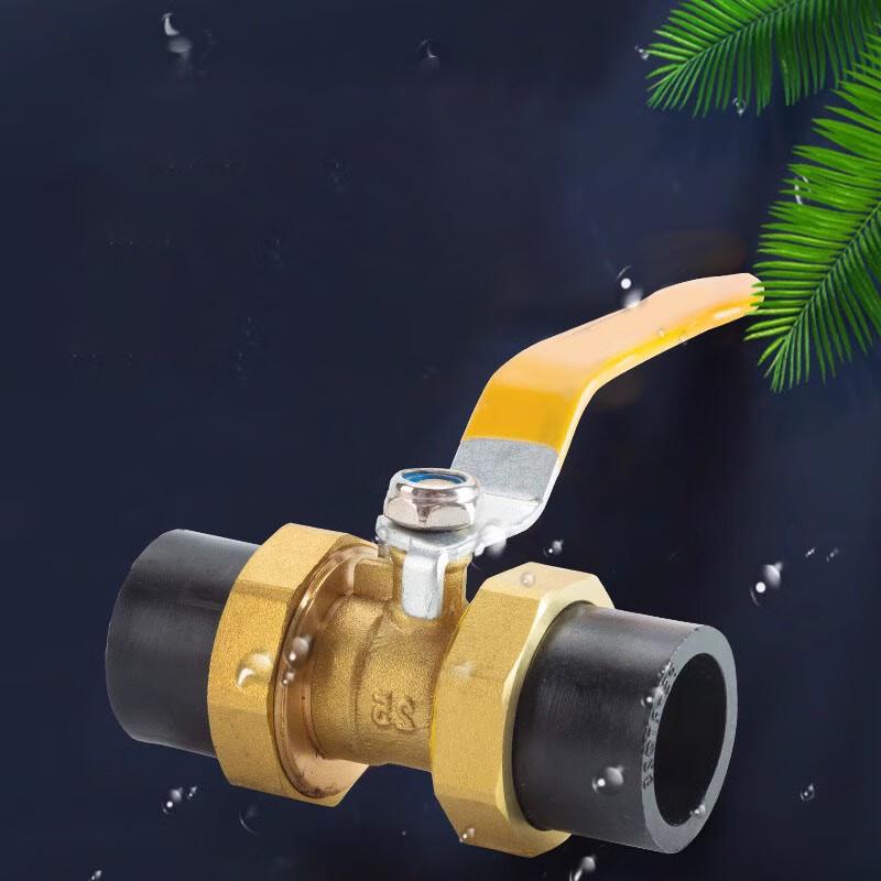 PE Double Union Brass Ball Valve