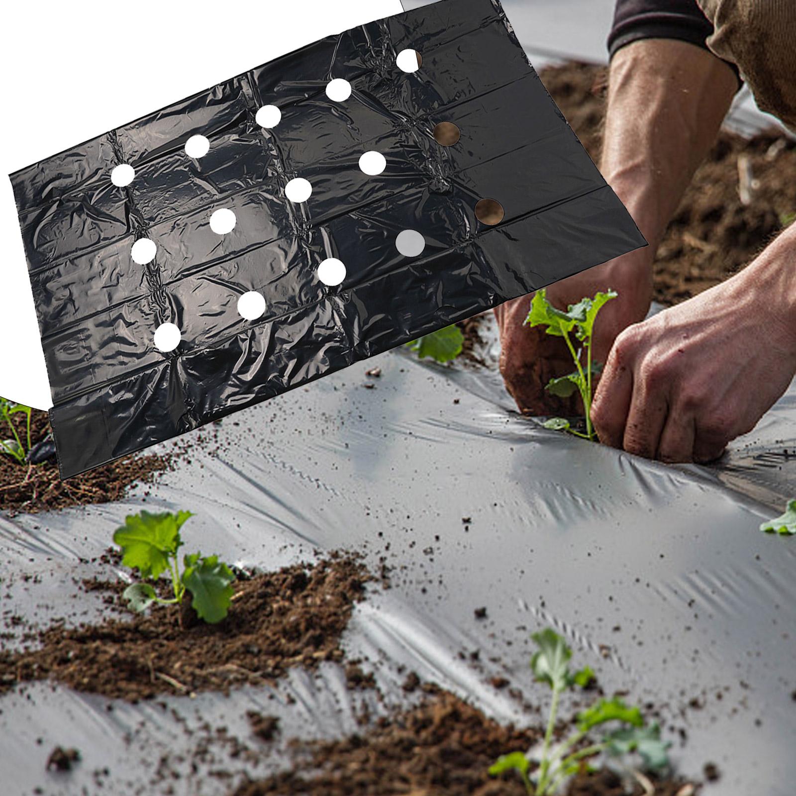 

Agricultural Gardening Solution Perforated Mulching Film Measuring at a Practical Size of Length 10M & Width 95cm China Mainland