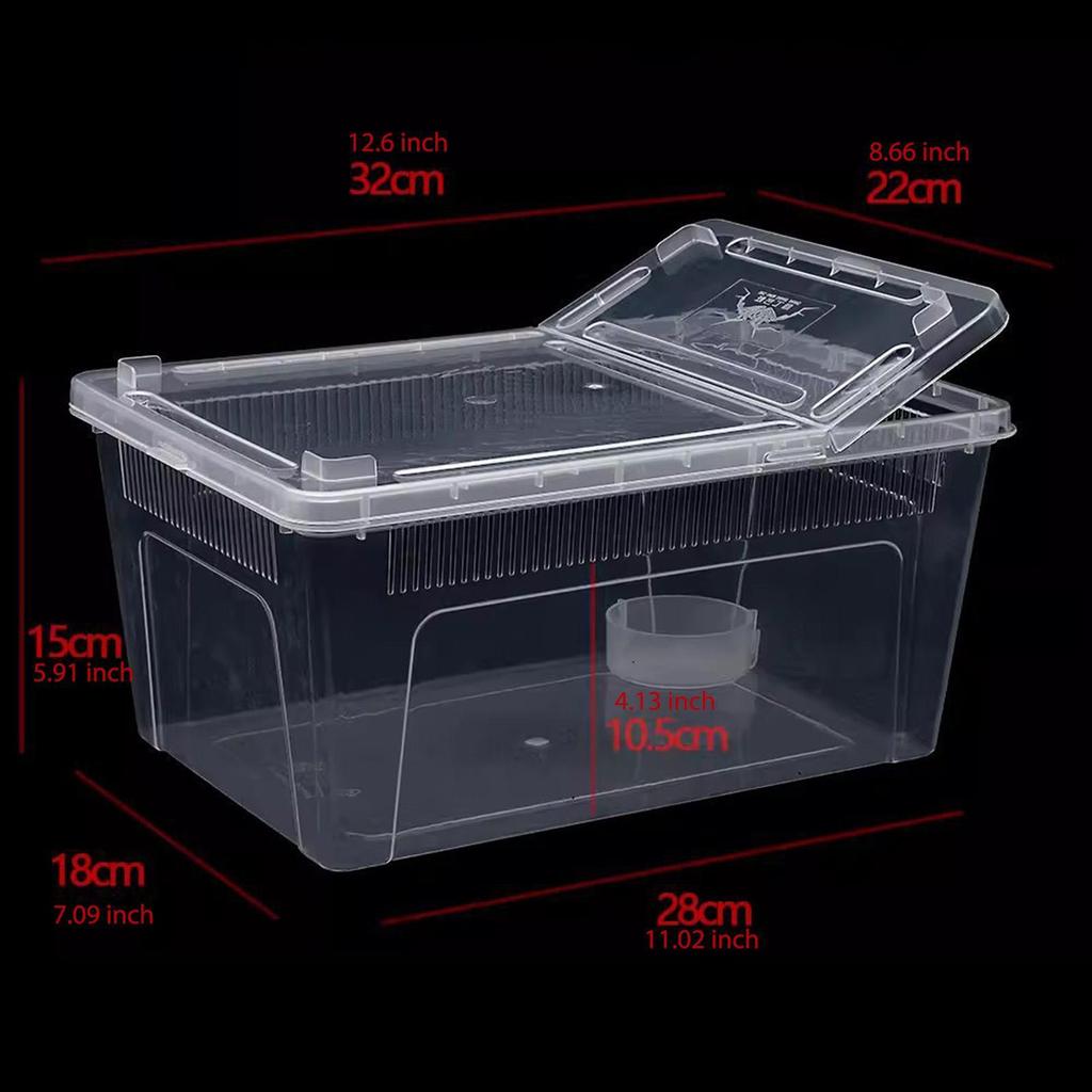 Reptile Breeding Box As A Small Animal Habitat And Container. This Terrarium The