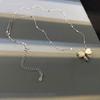 Bow Double-sided Pendant Necklace for Women's Clavicle Chain Temperament Fashionable Shell Bow New Style