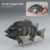 Set di Action Figure Modello Animali Marini - Pesci Oceanici Tonno Pesce Vela Persico Cernia Salmone PVC Giocattolo Educativo per Bambini