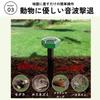 DIZLAS Mole Mole Mole Animal Pest Solar Powered Repellent, Repellent, Extermination, Control, Repellent, Repellent, (2)