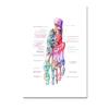 Moderne kleur menselijke anatomie diagram medische skeletstructuur voet poster Nordic canvas educatieve decoratieve schilderkunst aan de muur