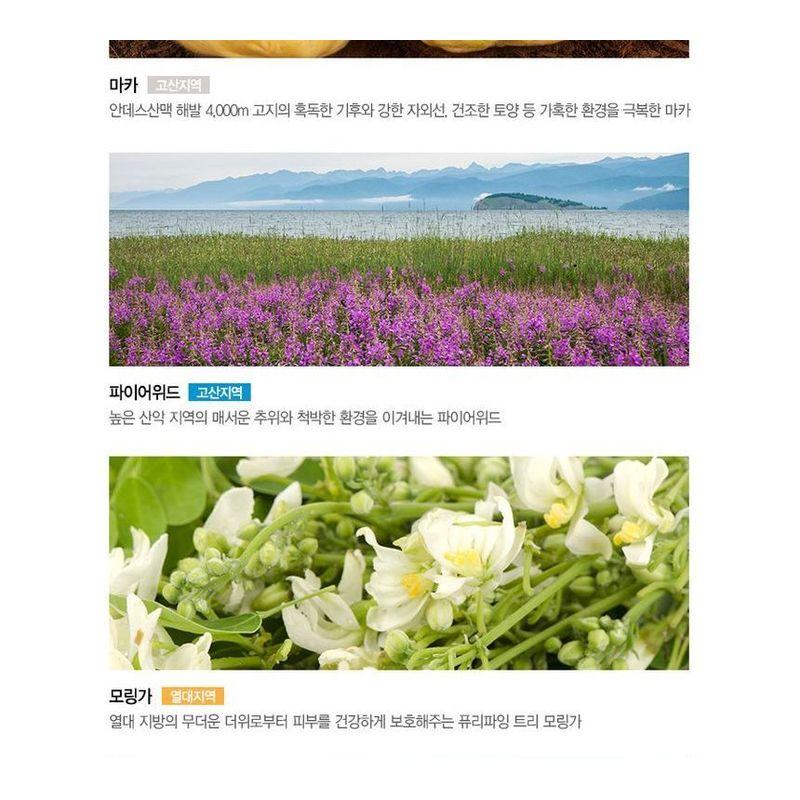 The Saem - Eco Earth Waterproof Sun Stick