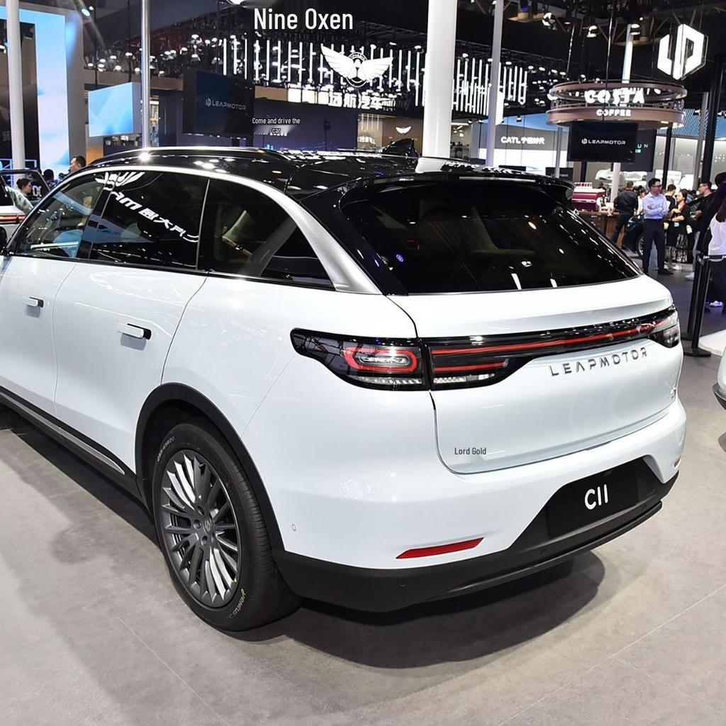 Leapmotor C11 Reifen-Schmutzfänger für grenzüberschreitenden Verkauf