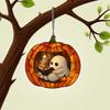 2d Flat Decorative Light Catcher Window Pendant Gift, Interesting Home Decoration Lighting Pendant
