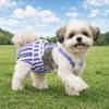 Striped Design Dog Diaper Suspenders Washable Pet Physiological Pants  Puppies Period