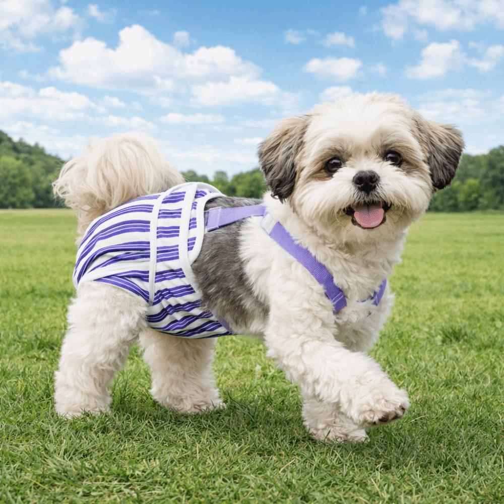 Striped Design Dog Diaper Suspenders Washable Pet Physiological Pants  Puppies Period