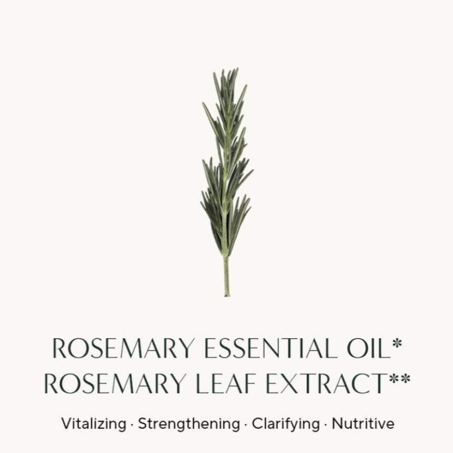 AROMATICA Rosemary Root Enhancer Scalp Tonic 100ml
