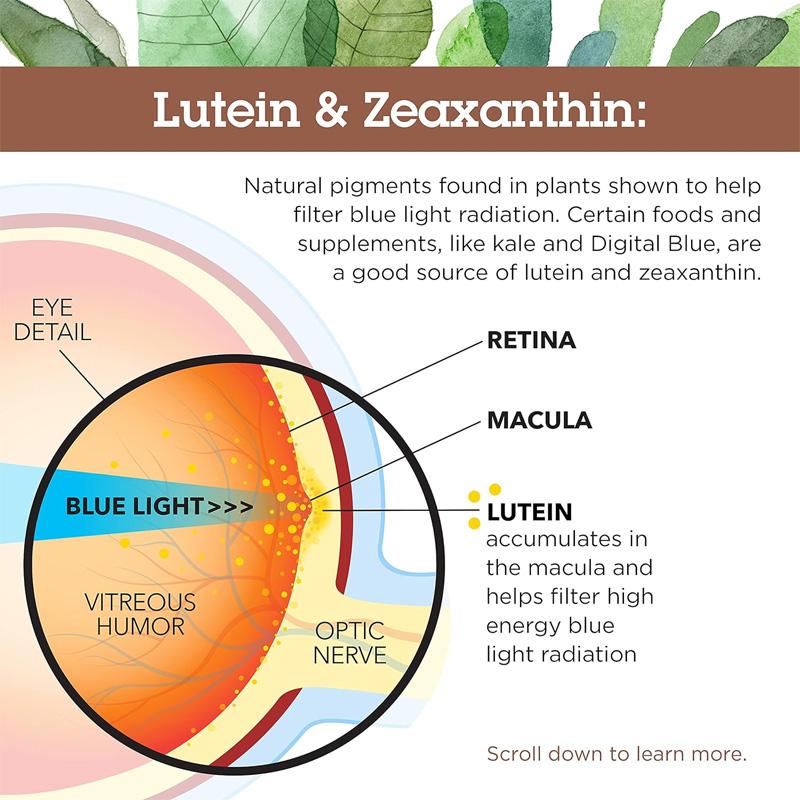 Pslalae Geavanceerde Oog- en Hersen Gezondheid Zachte Capsules bevatten luteïne, zeaxanthine en curcumine om het zicht te verbeteren.
