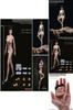 1/12 Scale Female Seamless Body With Super Flexible Articulation For Creative Play