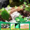 50Pc Luminous Mini Resin Frogs Green Glow In The Dark Cute Tiny Frogs For Micro Moss Landscape Terrariums Aquariums Cake Decor