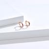 Rockyu Earrings for 925 Mirror Ring Hoop Jewelry Women, Silver, Zirconia, Multi-Diamond, Finish, Round, Earrings, Earrings, Hypoallergenic,
