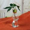 Female Body Clear Hydroponic Growing Glass Vases For Avocado  Modern Homes Decors Plant Display With Visible Root
