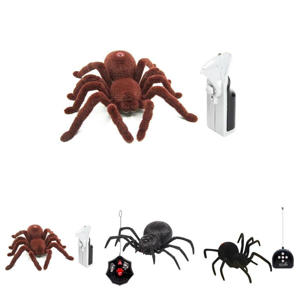 Remote Control Spider Toy With Plastic Material For Kids Age 7 To 14