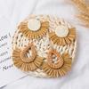 Hand-Woven Geometric Rattan Raffia Earrings, Retro Resort Fan Stud Earrings, Earrings For Women