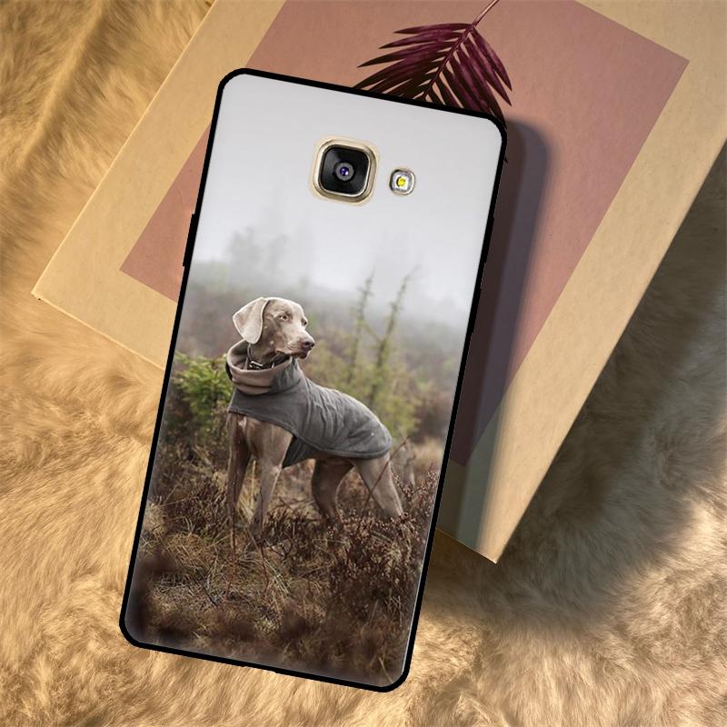 

Weimaraner Dog Case For Samsung Galaxy M21 M31 M16 M36 M56 M33 M53 M13 M12 M32 M52 M15 M55 M14 M35 M34 M54 For Samsung M11