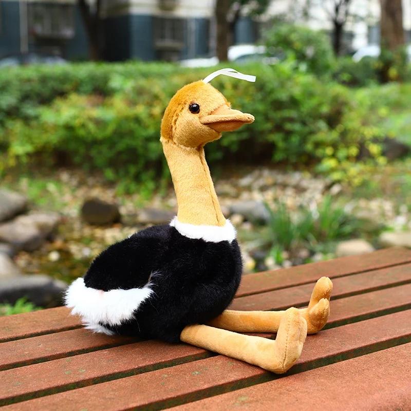 Jucărie de pluș Strut Simulat 1 buc 40cm/50cm Animal Împăiat Realist Perna Moale Pasăre Cadou Drăguț Pentru Copii Fată