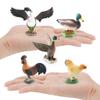 Detailed Pvc Models Of Farm Poultry Ducks Geese Roosters And Hens For Educational Play