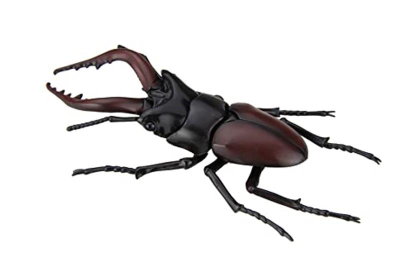 Fujimi Model Free Research Series No. 22 Living Things Edition Stag Beetle Research-22 Plastic