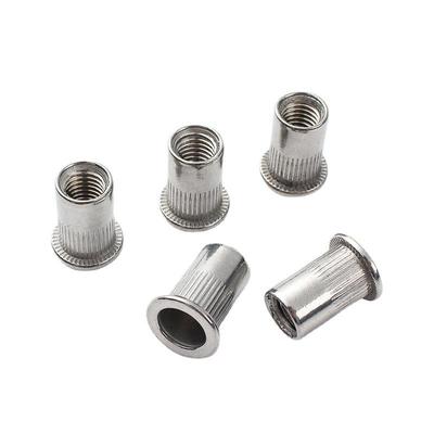 304 Stainless Steel Knurled Flat Head Rivet Nut with Vertical Ribs