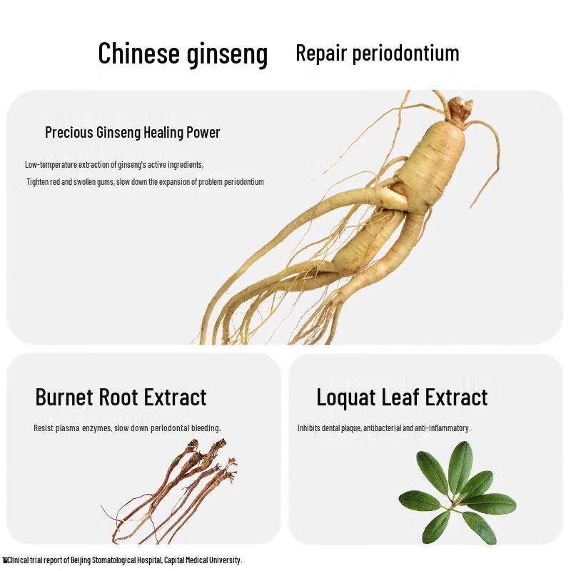 Ebisu X Zettoc Ginseng & Mint Fluoride Toothpaste