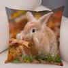 Sofa Car Home Decor Cute Rabbit Cushion Cover Bedroom Living Room Pillowcase Pet Animal Pillowcase