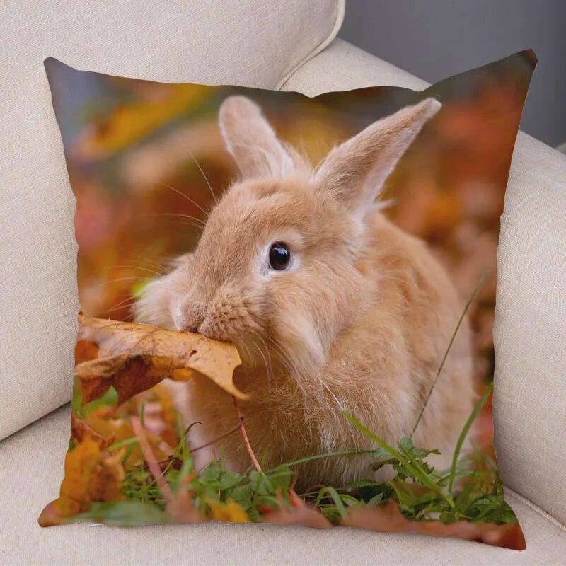 Sofa Car Home Decor Cute Rabbit Cushion Cover Bedroom Living Room Pillowcase Pet Animal Pillowcase