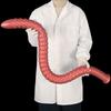 Extra Long Deep Anal Plug Threaded Silicone Anal Trainer for Men Women Personal Use