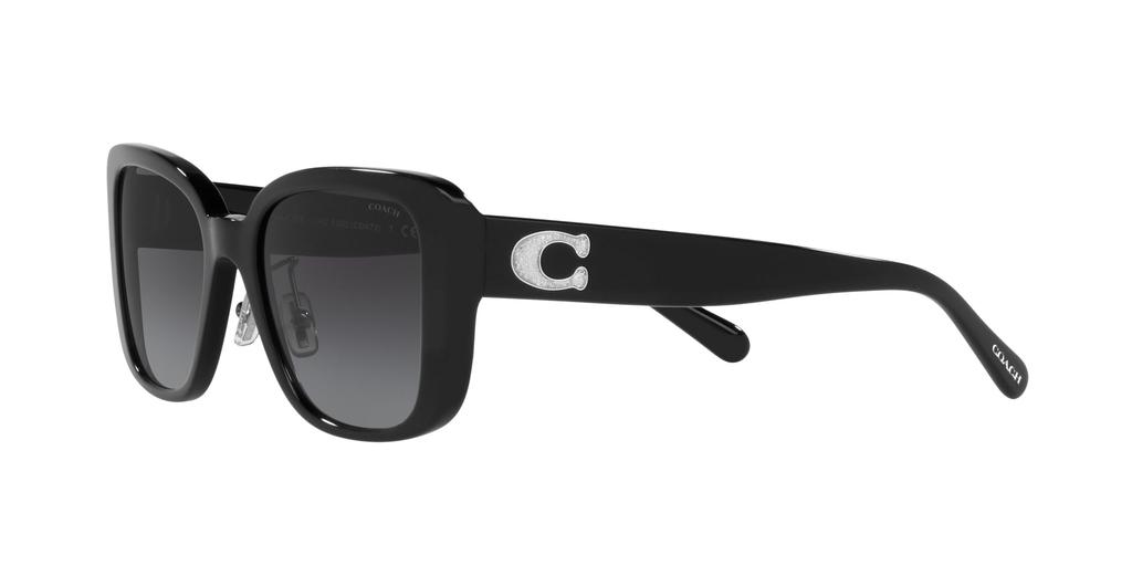 Coach Sunglasses HC8352 CD472 50028G BLACK 54 Women's