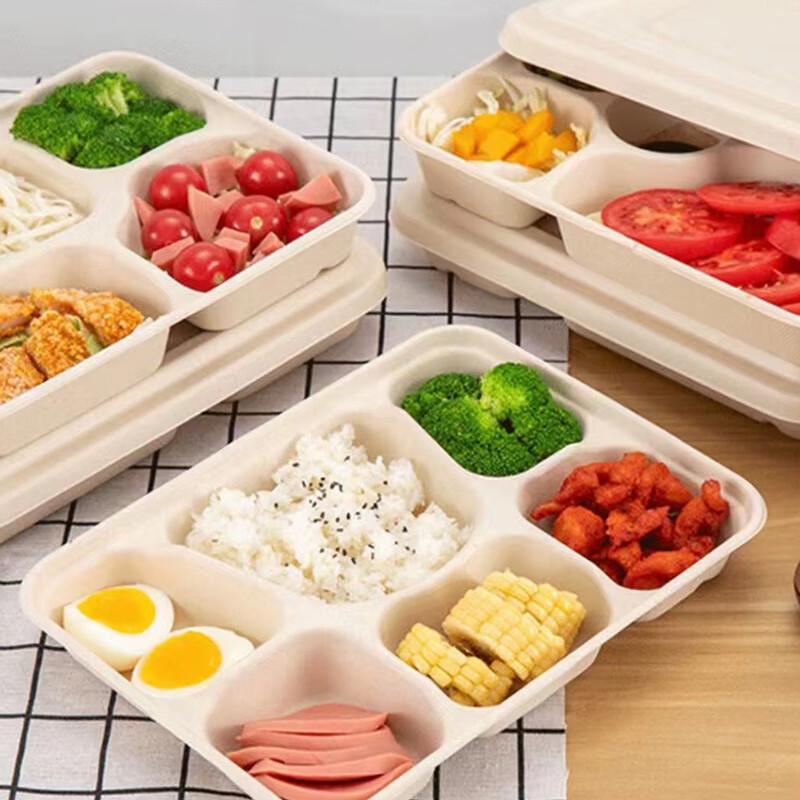 Aoran 6-Compartment Biodegradable Lunch Boxes