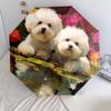 Two Bichon Pattern, Automatic Folding Umbrella, Portable and Foldable Design, 8 Ribs, a Christmas or Birthday Gift.